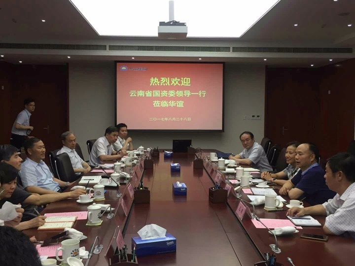云南省国资委和建英、集团宁德刚等到上海华谊集团考察学习