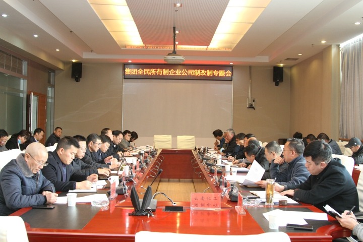 集团召开全民所有制企业公司制改革工作专题会